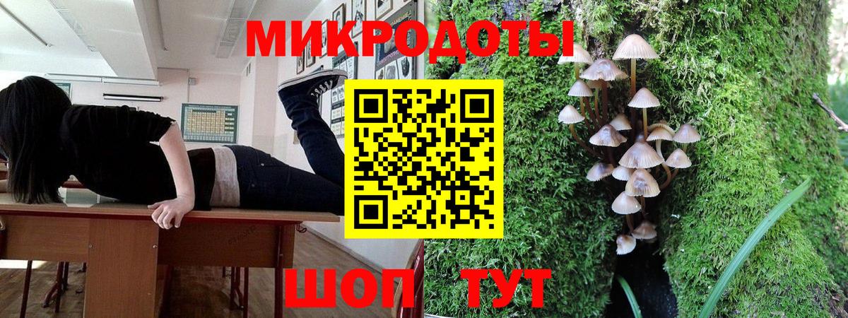 Псилоцибиновые грибы прущие грибы Фурманов