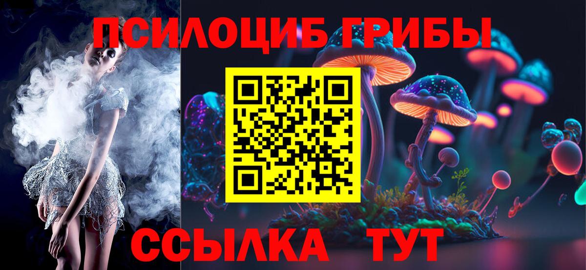 Псилоцибиновые грибы Psilocybine cubensis  Фурманов  Галлюциногенные грибы Cubensis 