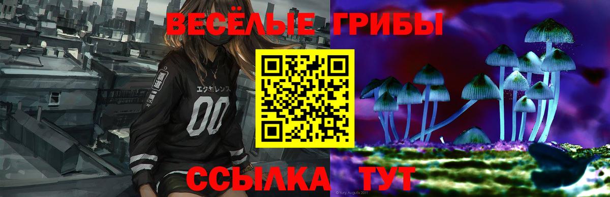 Псилоцибиновые грибы Cubensis Фурманов