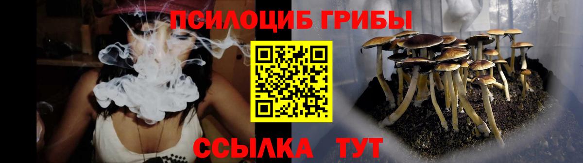 Галлюциногенные грибы прущие грибы  Вход с VPN  Фурманов 